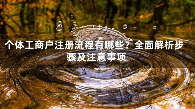 个体工商户注册流程有哪些？全面解析步骤及注意事项