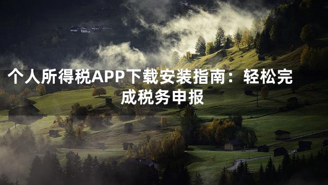 个人所得税APP下载安装指南：轻松完成税务申报