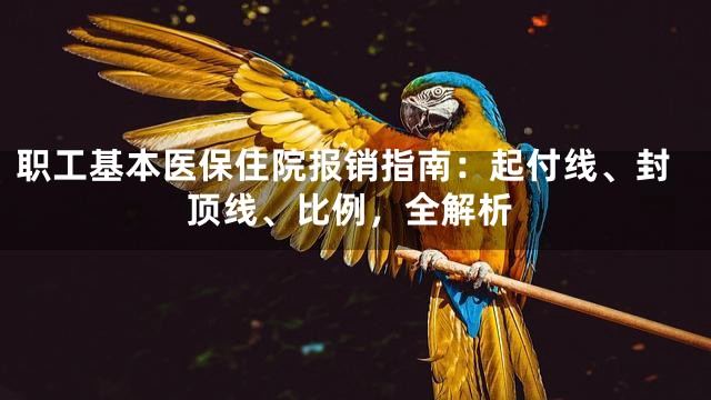 职工基本医保住院报销指南：起付线、封顶线、比例，全解析