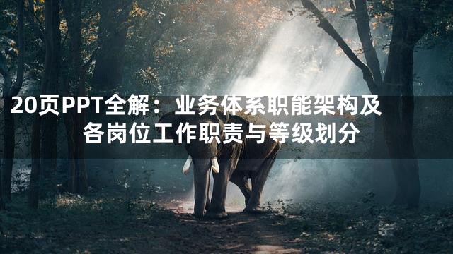 20页PPT全解：业务体系职能架构及各岗位工作职责与等级划分