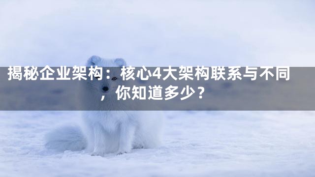揭秘企业架构：核心4大架构联系与不同，你知道多少？