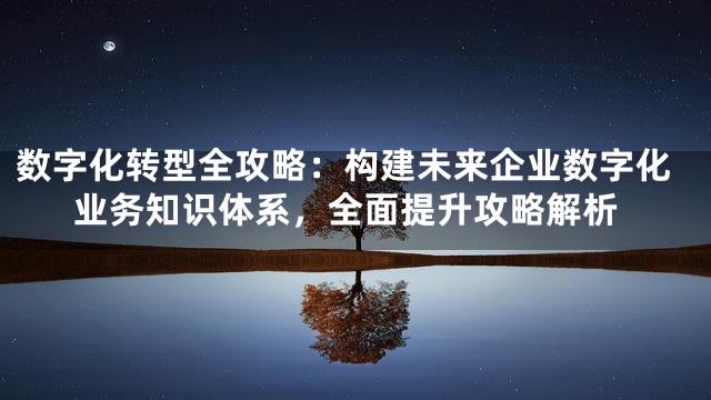 数字化转型全攻略：构建未来企业数字化业务知识体系，全面提升攻略解析