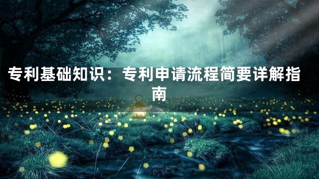 专利基础知识：专利申请流程简要详解指南