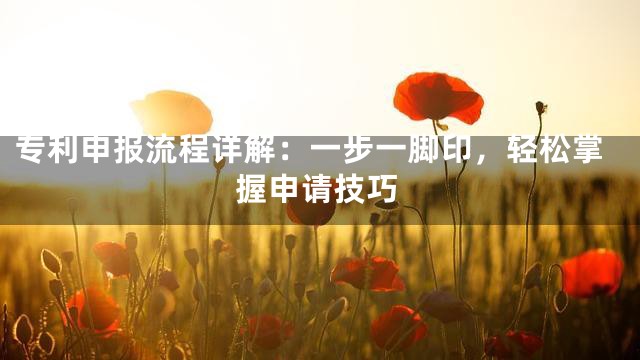 专利申报流程详解：一步一脚印，轻松掌握申请技巧