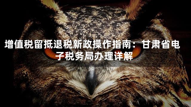 增值税留抵退税新政操作指南：甘肃省电子税务局办理详解