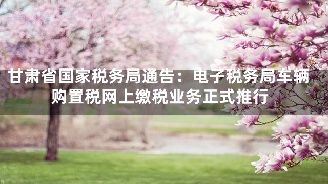 甘肃省国家税务局通告：电子税务局车辆购置税网上缴税业务正式推行