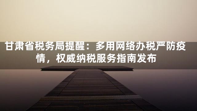 甘肃省税务局提醒：多用网络办税严防疫情，权威纳税服务指南发布