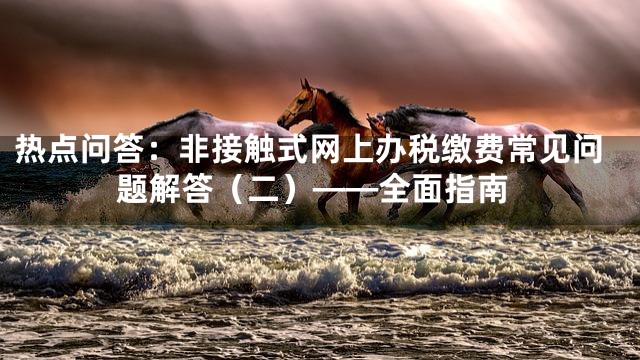 热点问答：非接触式网上办税缴费常见问题解答（二）——全面指南