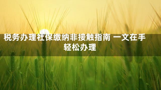 税务办理社保缴纳非接触指南 一文在手轻松办理