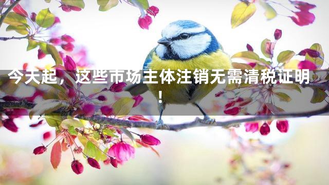 今天起，这些市场主体注销无需清税证明！