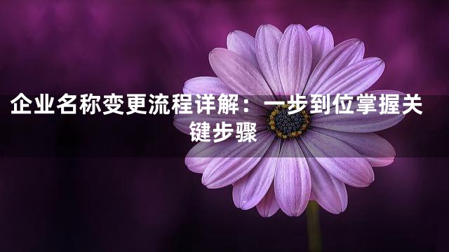 企业名称变更流程详解：一步到位掌握关键步骤