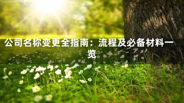 公司名称变更全指南：流程及必备材料一览