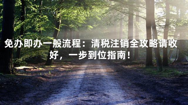免办即办一般流程：清税注销全攻略请收好，一步到位指南！