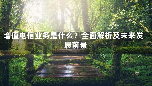 增值电信业务是什么？全面解析及未来发展前景