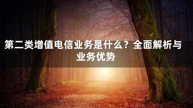 第二类增值电信业务是什么？全面解析与业务优势