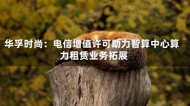 华孚时尚：电信增值许可助力智算中心算力租赁业务拓展