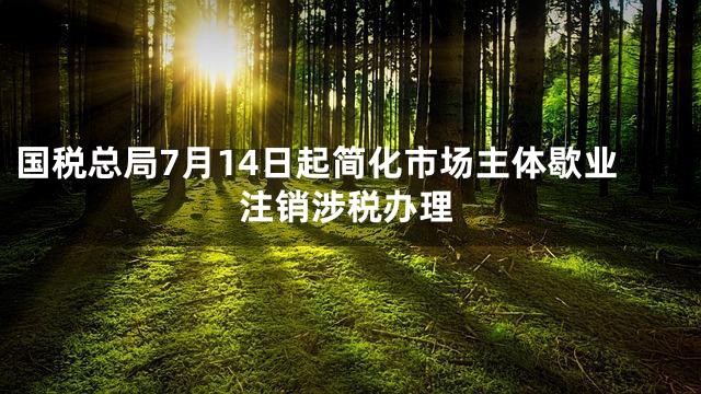 国税总局7月14日起简化市场主体歇业注销涉税办理