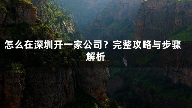 怎么在深圳开一家公司？完整攻略与步骤解析