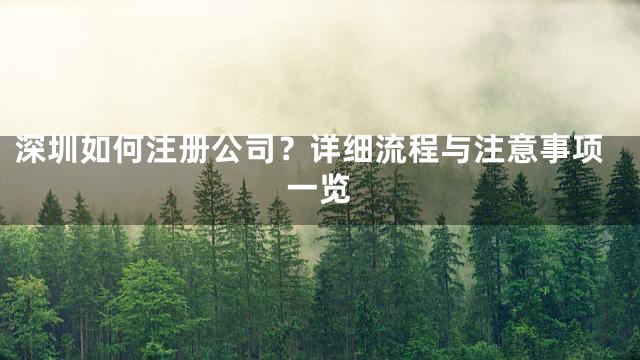 深圳如何注册公司？详细流程与注意事项一览