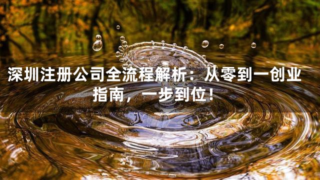 深圳注册公司全流程解析：从零到一创业指南，一步到位！