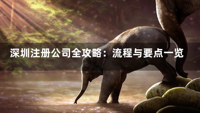 深圳注册公司全攻略：流程与要点一览