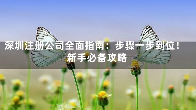深圳注册公司全面指南：步骤一步到位！新手必备攻略