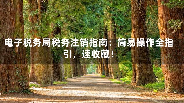 电子税务局税务注销指南：简易操作全指引，速收藏！