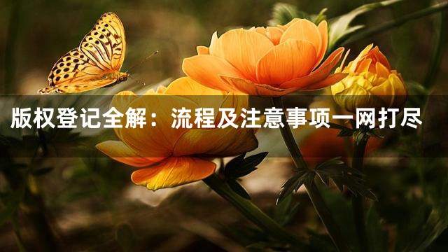 版权登记全解：流程及注意事项一网打尽