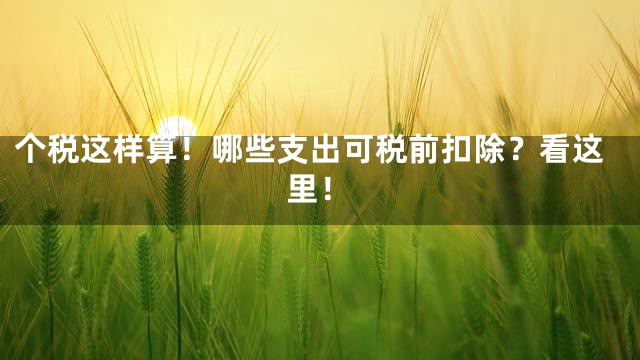 个税这样算！哪些支出可税前扣除？看这里！