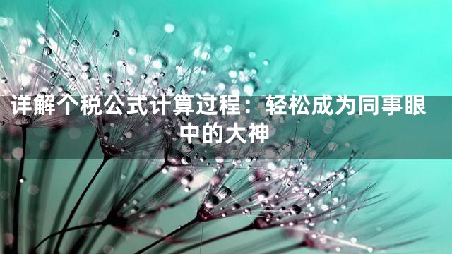 详解个税公式计算过程：轻松成为同事眼中的大神