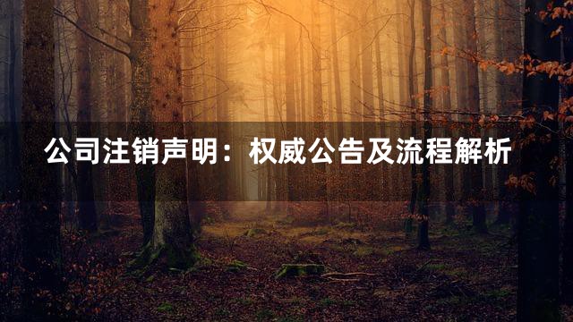 公司注销声明：权威公告及流程解析