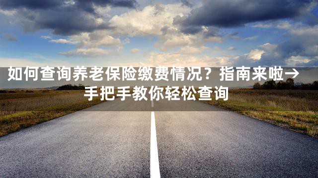 如何查询养老保险缴费情况？指南来啦→手把手教你轻松查询