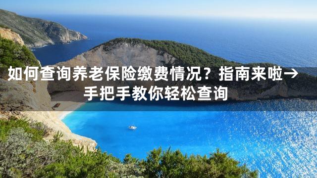 如何查询养老保险缴费情况？指南来啦→手把手教你轻松查询