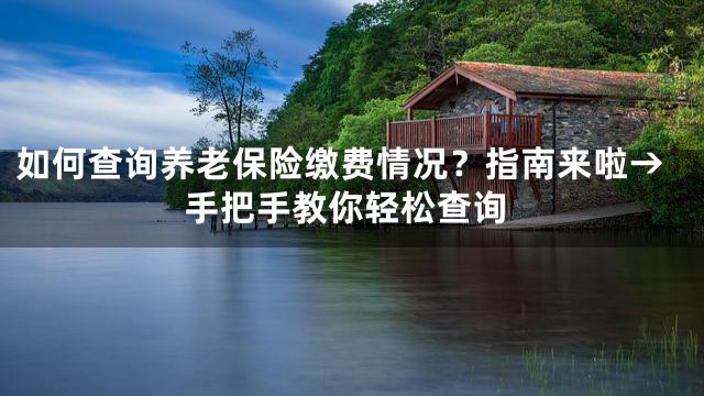 如何查询养老保险缴费情况？指南来啦→手把手教你轻松查询