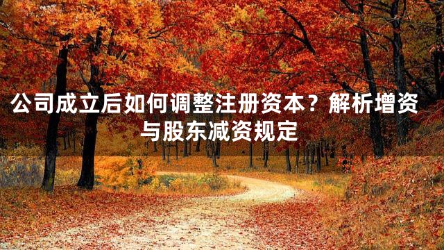 公司成立后如何调整注册资本？解析增资与股东减资规定