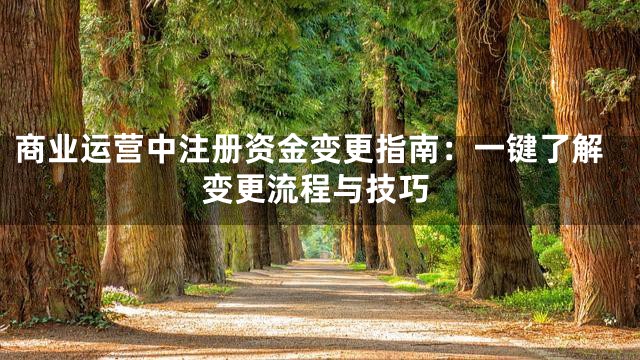 商业运营中注册资金变更指南：一键了解变更流程与技巧
