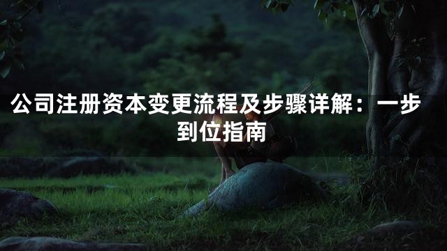 公司注册资本变更流程及步骤详解：一步到位指南
