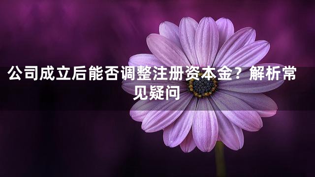 公司成立后能否调整注册资本金？解析常见疑问