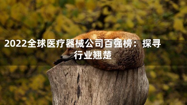 2022全球医疗器械公司百强榜：探寻行业翘楚