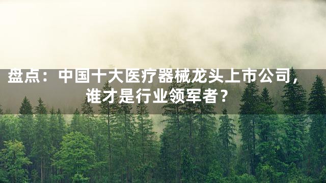 盘点：中国十大医疗器械龙头上市公司，谁才是行业领军者？