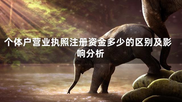 个体户营业执照注册资金多少的区别及影响分析
