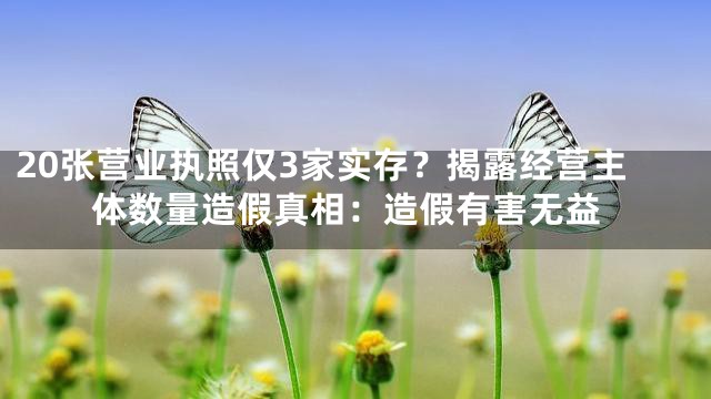 20张营业执照仅3家实存？揭露经营主体数量造假真相：造假有害无益