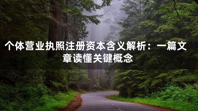 个体营业执照注册资本含义解析：一篇文章读懂关键概念