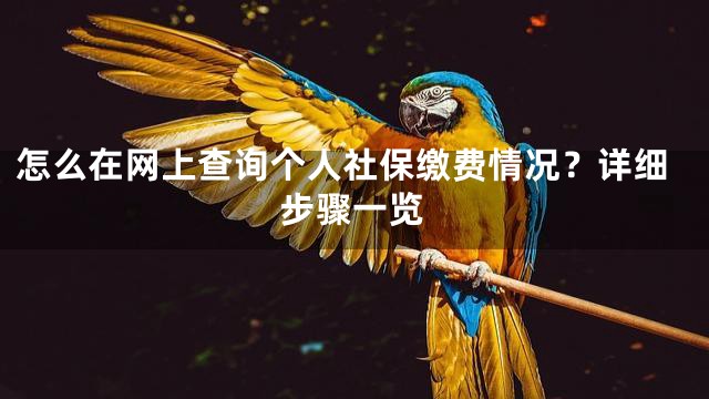 怎么在网上查询个人社保缴费情况？详细步骤一览