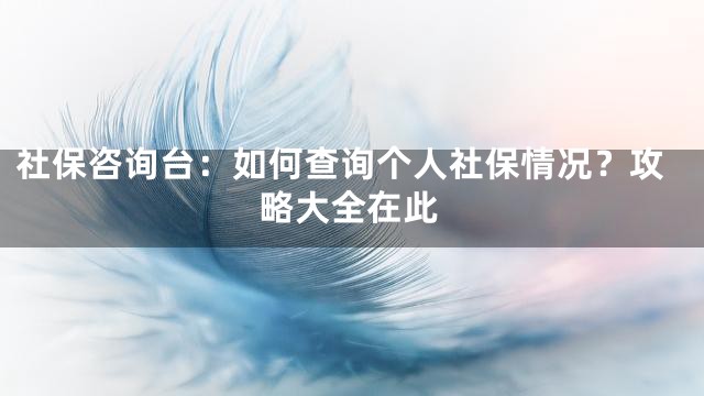 社保咨询台：如何查询个人社保情况？攻略大全在此