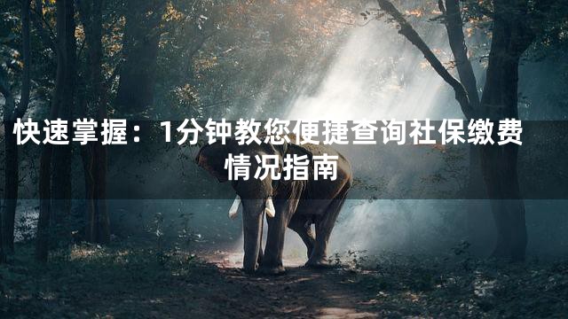 快速掌握：1分钟教您便捷查询社保缴费情况指南