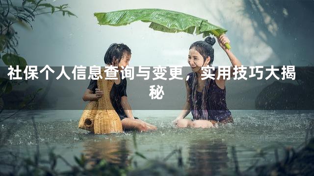 社保个人信息查询与变更，实用技巧大揭秘