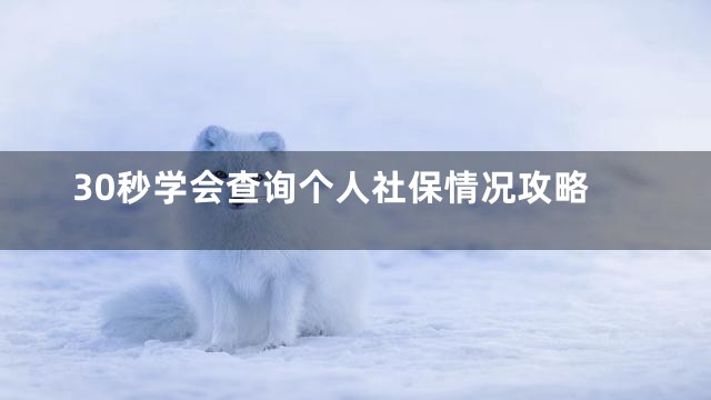 30秒学会查询个人社保情况攻略