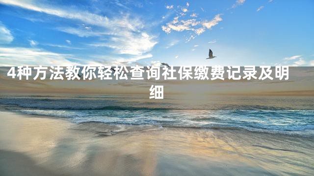 4种方法教你轻松查询社保缴费记录及明细