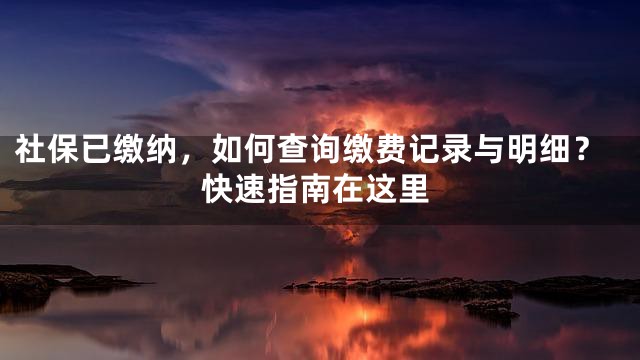 社保已缴纳，如何查询缴费记录与明细？快速指南在这里